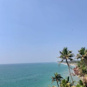 Joga - grudzień 2024